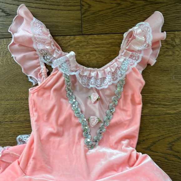 Child’s Medium Dance Costume, Ballerina, Ballet, Halloween, Dress-Up - Picture 3 of 4